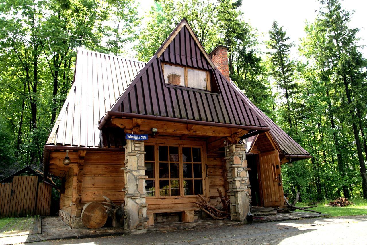 Domek Drewniany Tetmajera Centrum Zakopane Exteriör bild