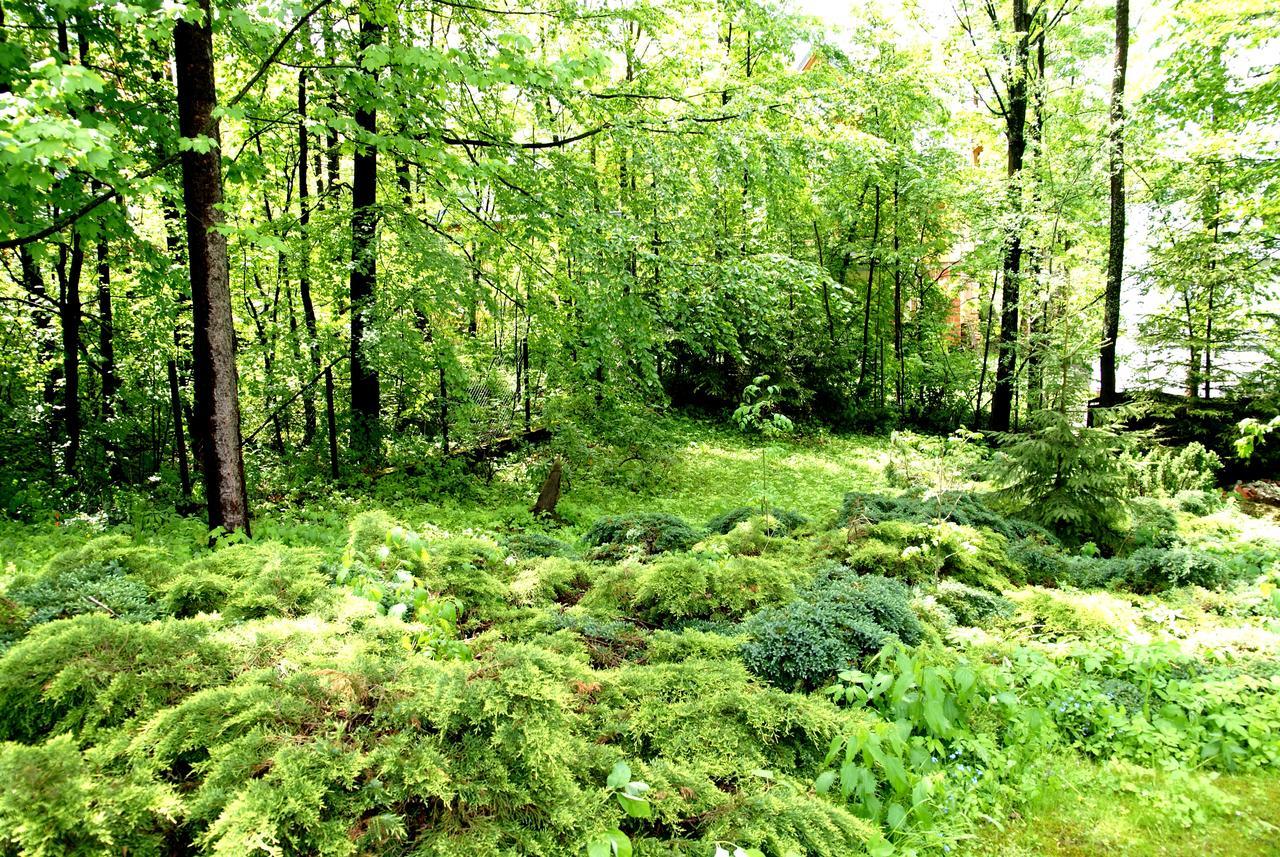 Domek Drewniany Tetmajera Centrum Zakopane Exteriör bild