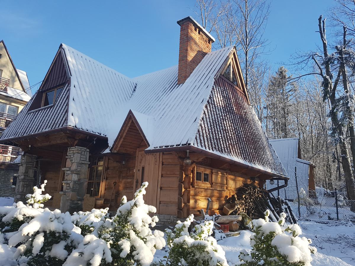 Domek Drewniany Tetmajera Centrum Zakopane Exteriör bild