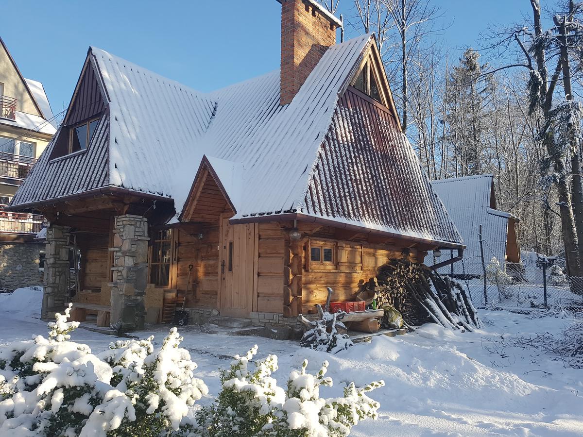 Domek Drewniany Tetmajera Centrum Zakopane Exteriör bild