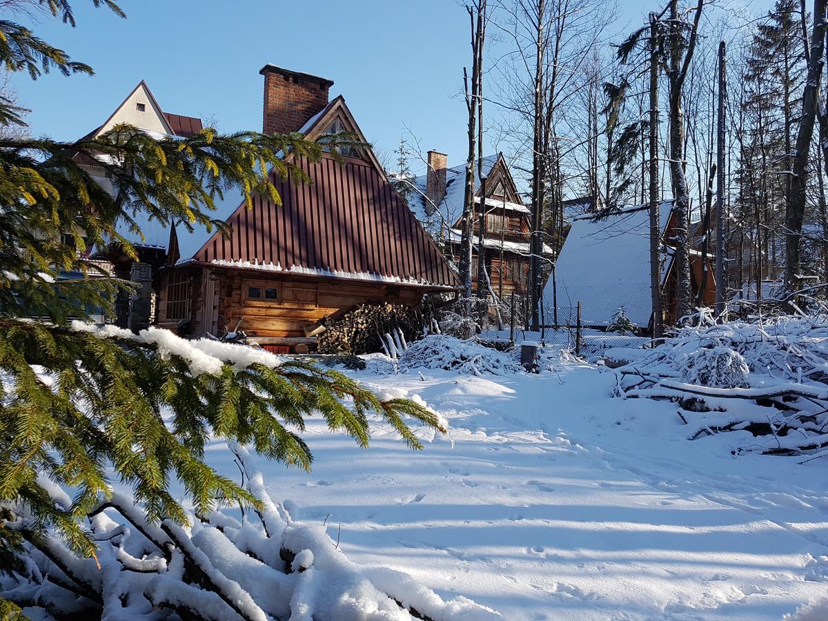 Domek Drewniany Tetmajera Centrum Zakopane Exteriör bild